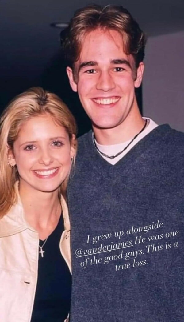 ΗΘΟΠΟΙΟΣ ΝΕΚΡΟΣ ΤΖΕΙΜΣ ΒΑΝ ΝΤΕΡ ΜΠΙΚ ΚΑΡΚΙΝΟΣ