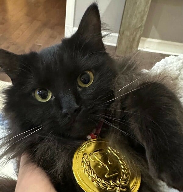 ΧΕΙΜΕΡΙΝΟΙ ΟΛΥΜΠΙΑΚΟΙ ΑΓΩΝΕΣ ΓΑΤΑ ΙΛΙΑ ΜΑΛΙΝΙΝ