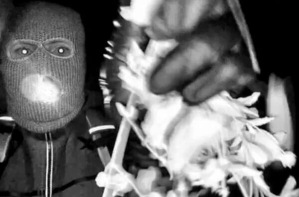 Savannah Guthrie: Το DNA που βρέθηκε στο σπίτι της μητέρας της δεν ανήκει σε εκείνη