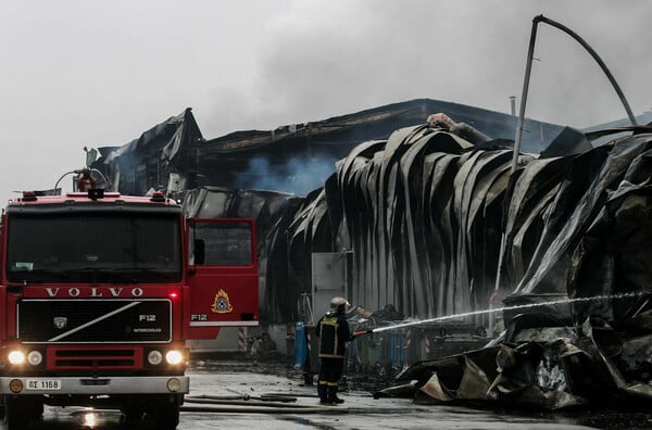 ΒΙΟΛΑΝΤΑ ΙΔΙΟΚΤΗΤΗΣ ΣΥΝΕΛΗΦΘΗ