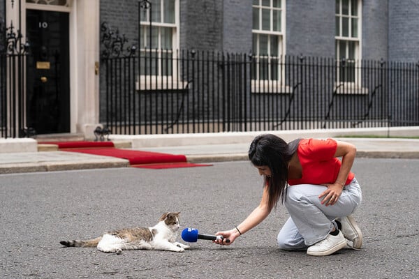 ΒΡΕΤΑΝΙΑ ΓΑΤΟΣ ΛΑΡΙ ΝΤΑΟΥΝΙΝΓΚ ΣΤΡΙΤ