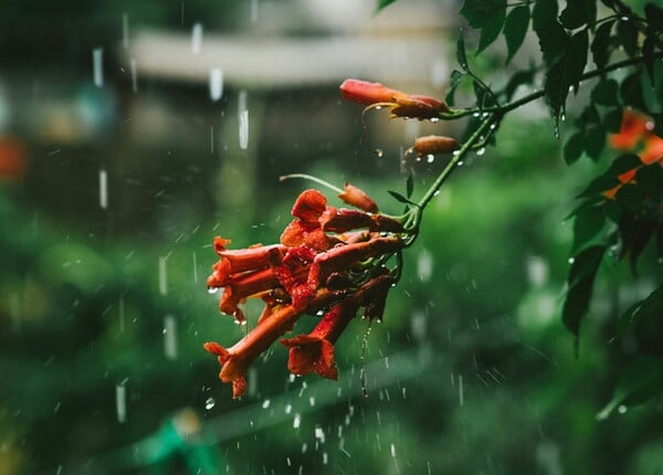 Καιρός: Βαθύ βαρομετρικό χαμηλό φέρνει 24ώρη ισχυρή κακοκαιρία - Ξεκινά από το βράδυ