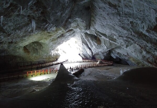 ΒΑΚΤΗΡΙΟ ΑΝΘΕΚΤΙΚΟ ΑΝΤΙΒΙΟΤΙΚΑ ΑΡΧΑΙΑ ΣΠΗΛΙΑ ΠΑΓΟΥ