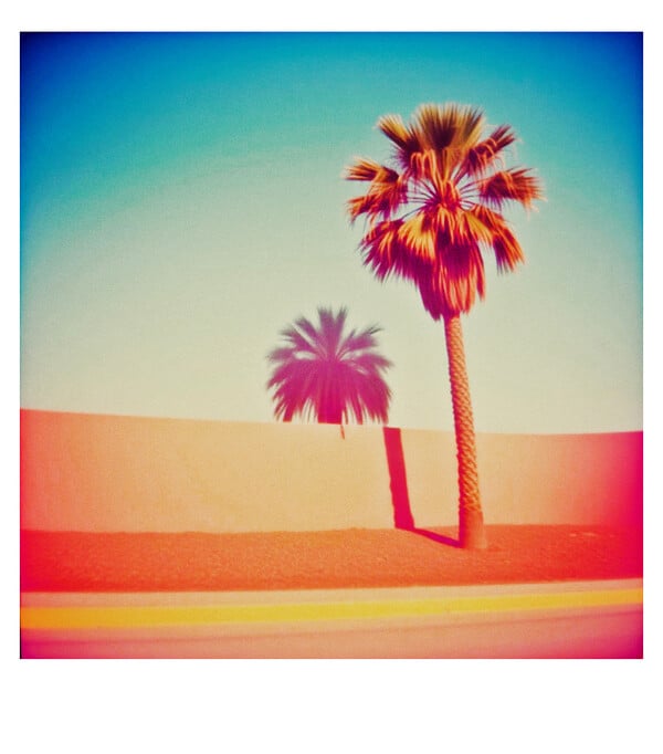 Jemma. Polaroid diary.