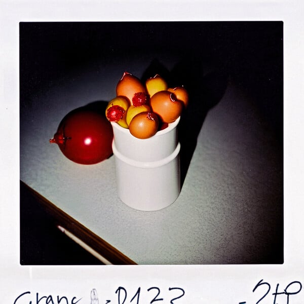 Jemma. Polaroid diary.