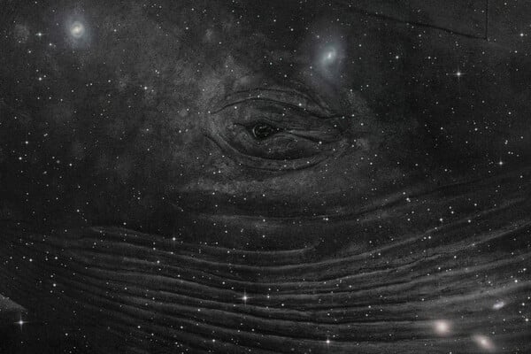 Συναντήσεις | Encounters