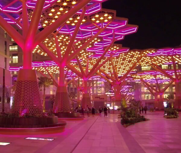 ΚΑΛΟΚΑΙΡΙ ΚΑΤΑΡ ΔΑΣΟΣ ΝΗΣΙ ΚΛΙΜΑΤΙΣΜΟΣ