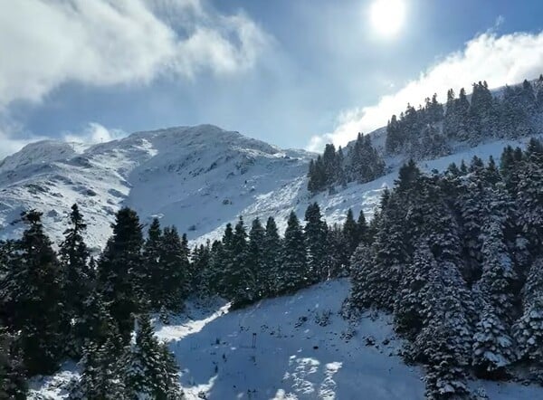 ΠΑΡΝΑΣΣΟΣ ΟΡΕΙΒΑΤΕΣ ΑΓΝΟΟΥΜΕΝΟΙ