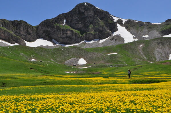 «Θα πρέπει να γίνεις μέρος της φύσης και του βουνού, ένα αγρίμι, με την καλή έννοια, για να επιβιώσεις εδώ πάνω»