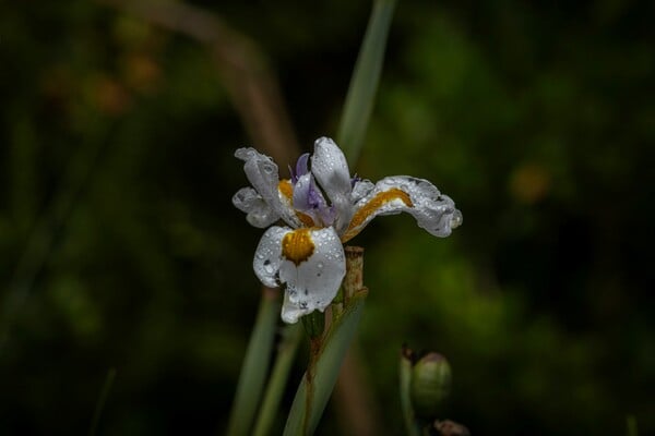 ΚΑΙΡΟΣ ΒΡΟΧΕΣ