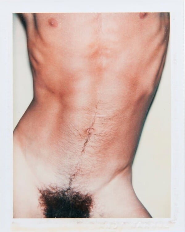 Να μη στέκεσαι ψηλά για να σε δουν, αλλά χαμηλά για να σε αγγίξουν/ ένα πολυποστ του Πάνου Μιχαήλ