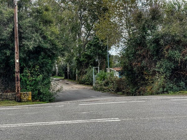 ΦΟΙΝΙΚΟΥΝΤΑ ΔΟΛΟΦΟΝΙΑ ΚΑΜΠΙΝΓΚ