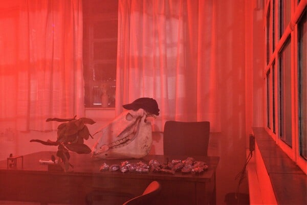 "Κονσέρβες"