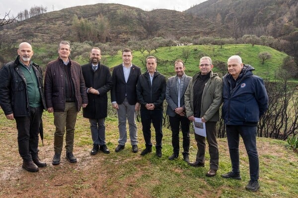 Από τη στάχτη στην ελπίδα: Οι δύο μήνες που άλλαξαν το τοπίο σε Πάτρα και Αχαΐα