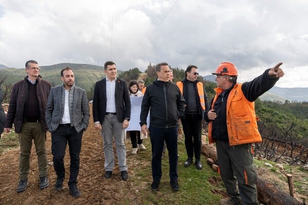 Από τη στάχτη στην ελπίδα: Οι δύο μήνες που άλλαξαν το τοπίο σε Πάτρα και Αχαΐα