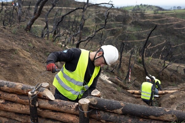 Από τη στάχτη στην ελπίδα: Οι δύο μήνες που άλλαξαν το τοπίο σε Πάτρα και Αχαΐα
