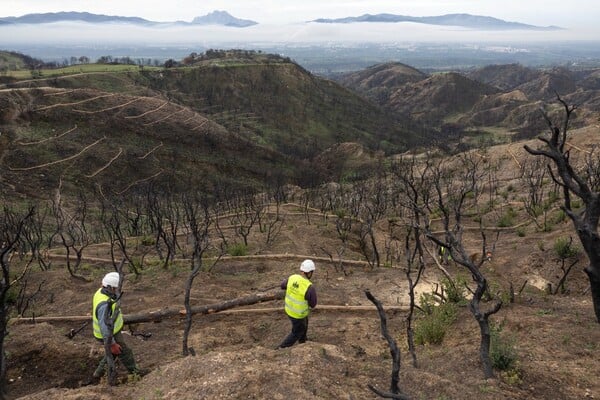 Από τη στάχτη στην ελπίδα: Οι δύο μήνες που άλλαξαν το τοπίο σε Πάτρα και Αχαΐα