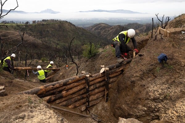 Από τη στάχτη στην ελπίδα: Οι δύο μήνες που άλλαξαν το τοπίο σε Πάτρα και Αχαΐα