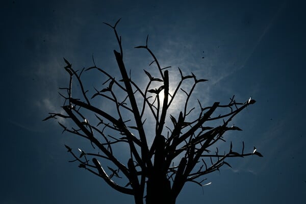 ΤΕΜΠΗ ΜΝΗΜΕΙΟ ΤΙ ΣΥΜΒΟΛΙΖΕΙ