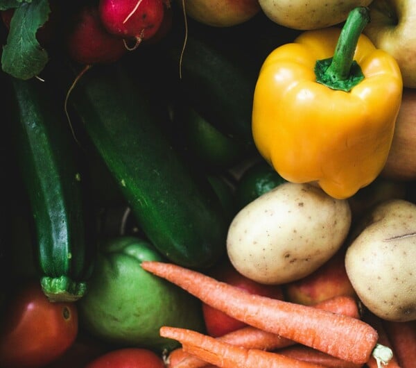 ΚΑΡΚΙΝΟΣ ΧΟΡΤΟΦΑΓΟΙ ΕΡΕΥΝΑ