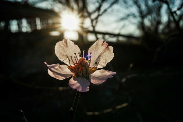 Καιρός - Κολυδάς: «Ο Μάρτιος δεν φαίνεται να επιβεβαιώνει τον χαρακτηρισμό του "γδάρτη"»