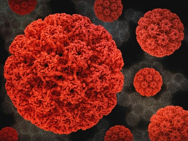 HPV ΙΟΣ ΑΝΘΡΩΠΙΝΩΝ ΘΗΛΩΜΑΤΩΝ ΕΜΒΟΛΙΟ