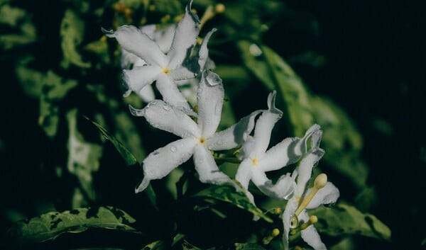 Αλλάζει ο καιρός: Πού θα βρέξει τις επόμενες ώρες