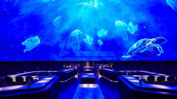 Από τη Noma στο Κοινοβούλιο: όταν η κουζίνα διεκδικεί θέση δίπλα στη ζωγραφική