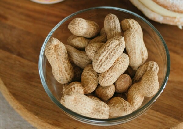 ΕΡΕΥΝΑ ΦΙΣΤΙΚΙΑ ΑΛΛΕΡΓΙΑ 