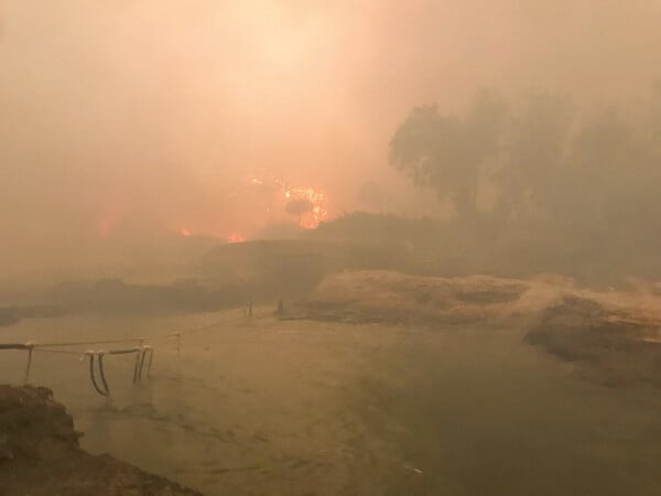 Η Κατερίνα Αγγελοπούλου κατέγραψε ένα συλλογικό τραύμα, όσα συνέβησαν στο Μάτι 