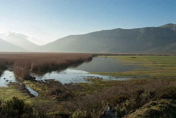 «Από την πόλη της απόλυτης κινητικότητας στο χωριό της απόλυτης ησυχίας, η αλλαγή ήταν τεράστια» / «Στο Δύστο κατάφερα να ασχοληθώ επαγγελματικά με την οινοποιία, που την αγαπώ»