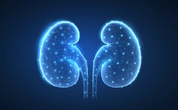 Παγκόσμια Ημέρα Νεφρού 