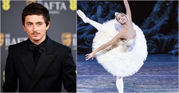 ΤΙΜΟΤΕ ΣΑΛΑΜΕ ΜΙΣΤΙ ΚΟΠΛΑΝΤ ΜΠΑΛΕΤΟ ΟΠΕΡΑ