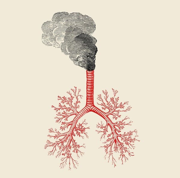 Πόσο καθαρός είναι ο αέρας που αναπνέουμε;