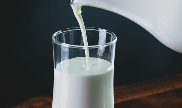 ΕΦΕΤ ΑΝΑΚΛΗΣΗ ΓΑΛΑ ΣΥΣΚΕΥΗ