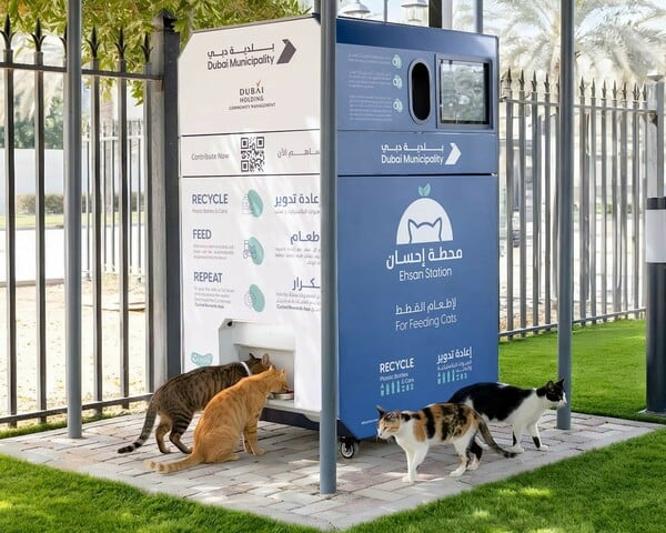 Τα κατοικίδια που μένουν πίσω όταν οι άνθρωποι φεύγουν από τη Μέση Ανατολή