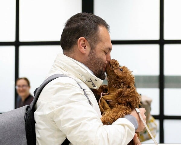 Τα κατοικίδια που μένουν πίσω όταν οι άνθρωποι φεύγουν από τη Μέση Ανατολή