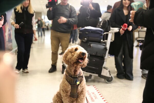ΕΛΛΗΝΕΣ ΚΑΤΟΙΚΙΔΙΑ ΕΠΑΝΑΠΑΤΡΙΣΜΟΣ ΕΛΛΑΔΑ ΜΕΣΗ ΑΝΑΤΟΛΗ