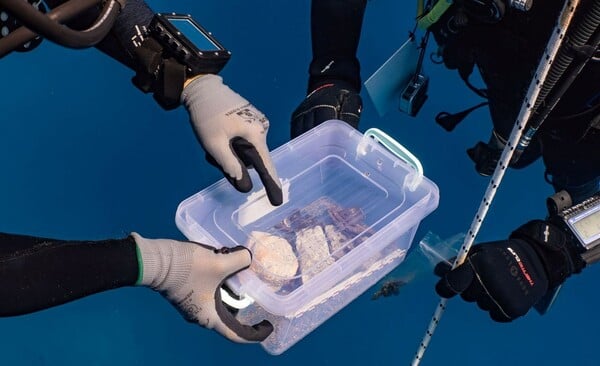 ΝΑΥΑΓΙΟ ΜΕΝΤΩΡ ΑΝΑΣΚΑΦΗ ΓΛΥΠΤΟ ΔΙΑΚΟΣΜΟ ΠΑΡΘΕΝΩΝΑ