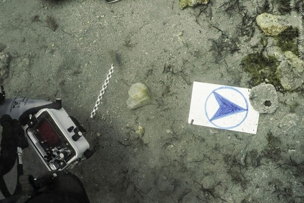 ΝΑΥΑΓΙΟ ΜΕΝΤΩΡ ΑΝΑΣΚΑΦΗ ΓΛΥΠΤΟ ΔΙΑΚΟΣΜΟ ΠΑΡΘΕΝΩΝΑ