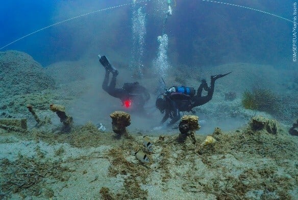 ΝΑΥΑΓΙΟ ΜΕΝΤΩΡ ΑΝΑΣΚΑΦΗ ΓΛΥΠΤΟ ΔΙΑΚΟΣΜΟ ΠΑΡΘΕΝΩΝΑ