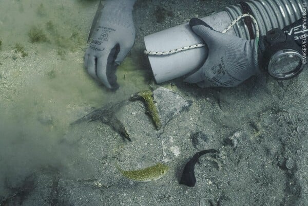 ΝΑΥΑΓΙΟ ΜΕΝΤΩΡ ΑΝΑΣΚΑΦΗ ΓΛΥΠΤΟ ΔΙΑΚΟΣΜΟ ΠΑΡΘΕΝΩΝΑ