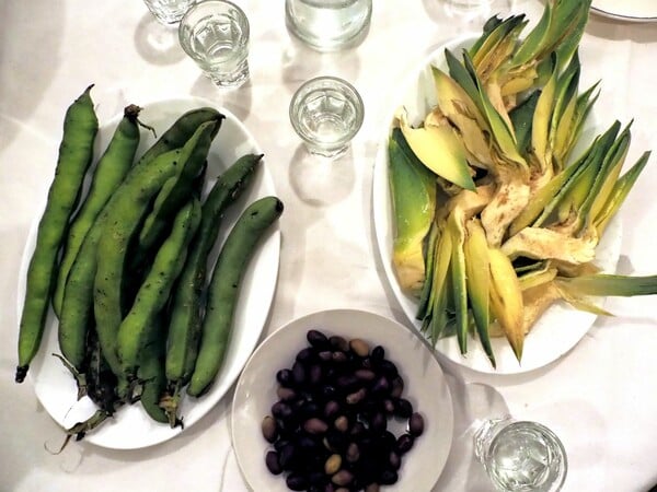 Η ρακή αγαπά τις τρυφερές καρδιές των κήπων