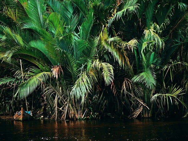 ΦΩΤΙΕΣ ΑΝΘΡΑΚΑΣ ΥΓΡΟΤΟΠΟΙ