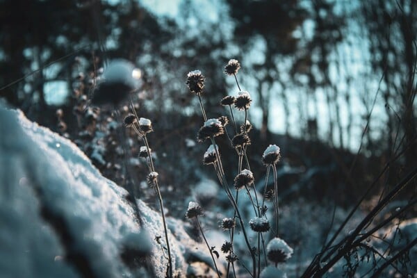 ΚΑΙΡΟΣ ΚΡΥΟ ΠΤΩΣΗ ΘΕΡΜΟΚΡΑΣΙΑΣ 25Η ΜΑΡΤΙΟΥ