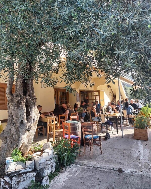 «Πάντα ήθελα να δοκιμάσω να επιβιώσω στο χωριό»