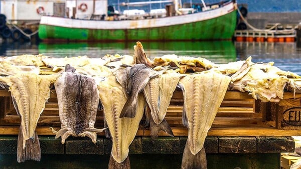 Ακολουθώντας τα (γαστρονομικά) ίχνη του μπακαλιάρου στη Β. Ισπανία
