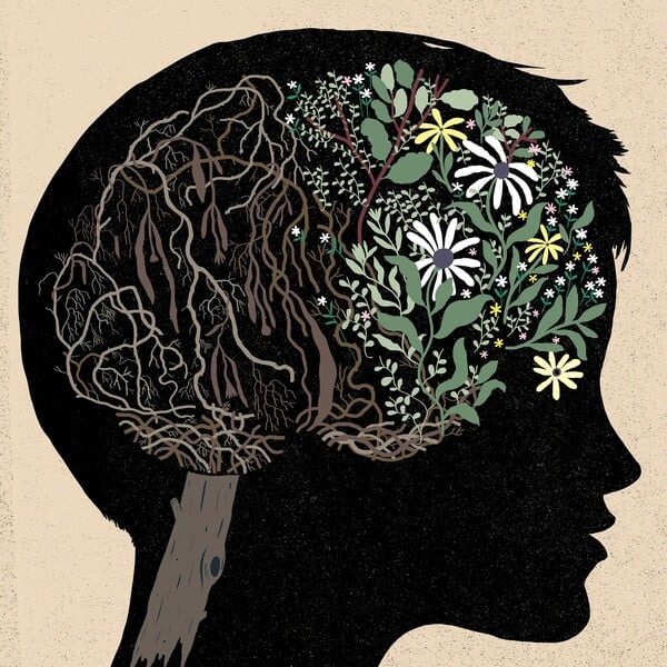 Νέα έρευνα: Η δίαιτα που επιβραδύνει τη γήρανση του εγκεφάλου