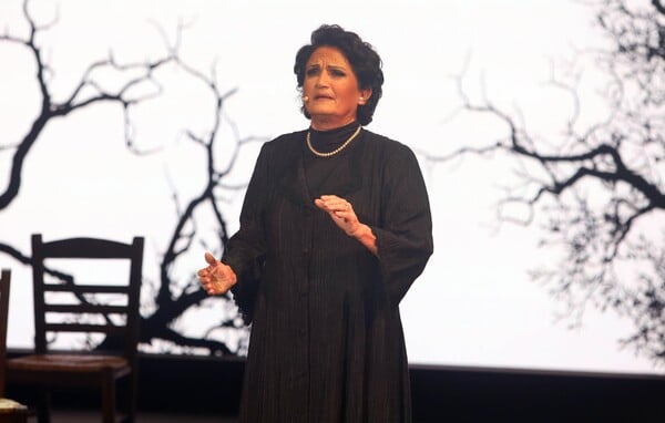 ΑΛΚΗΣΤΙΣ ΠΡΩΤΟΨΑΛΤΗ ΘΥΜΑ ΔΙΑΔΙΚΤΥΑΚΗΣ ΑΠΑΤΗΣ