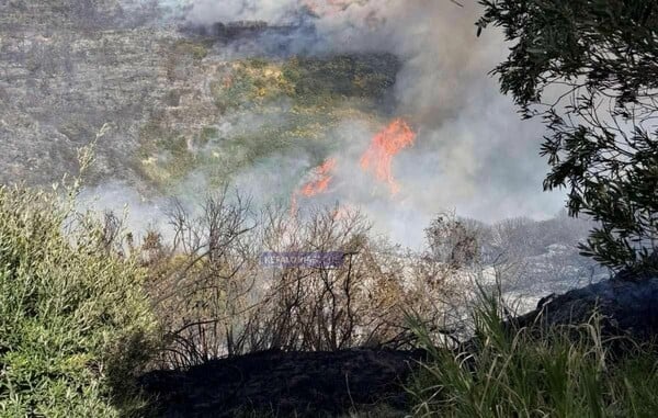 ΦΩΤΙΑ ΚΕΦΑΛΟΝΙΑ 